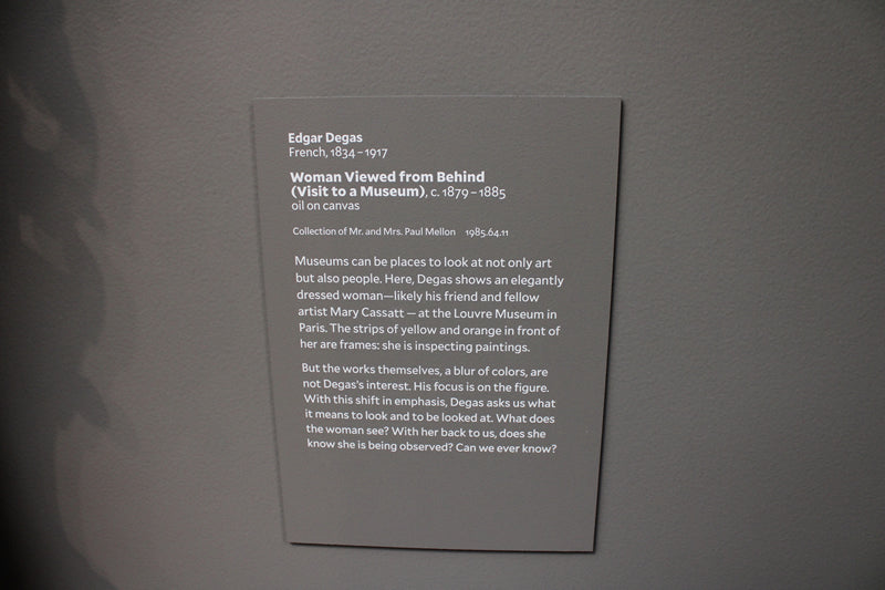 Woman Viewed from Behind (Visit to a Museum)