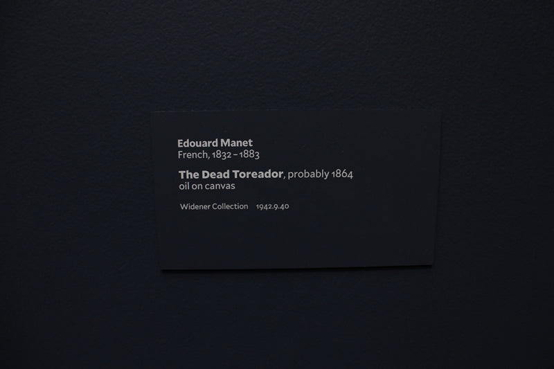The Dead Toreador