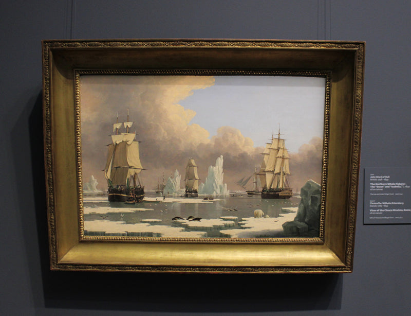 The Northern Whale Fishery: The "Swan" and "Isabella"