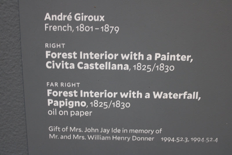 Forest Interior with a Waterfall, Papigno