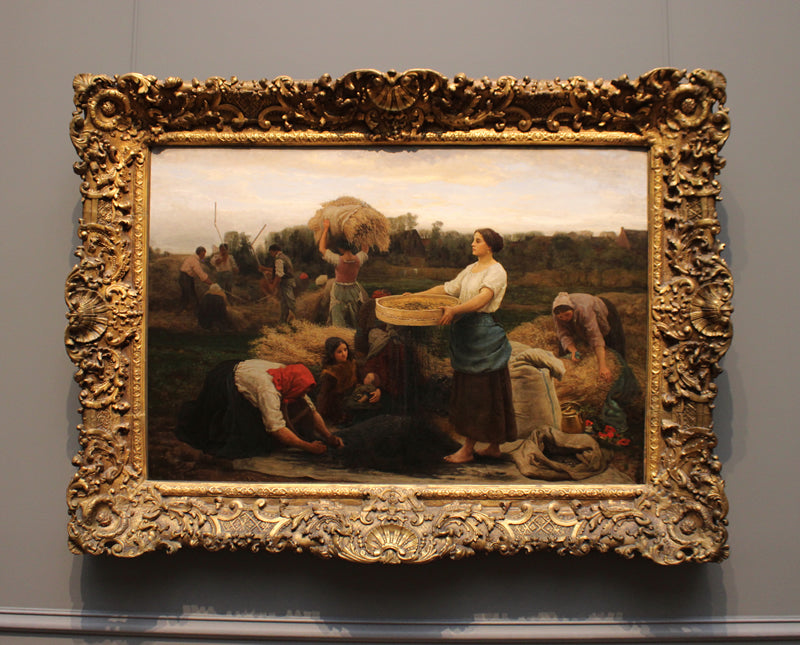 The Colza (Harvesting Rapeseed)