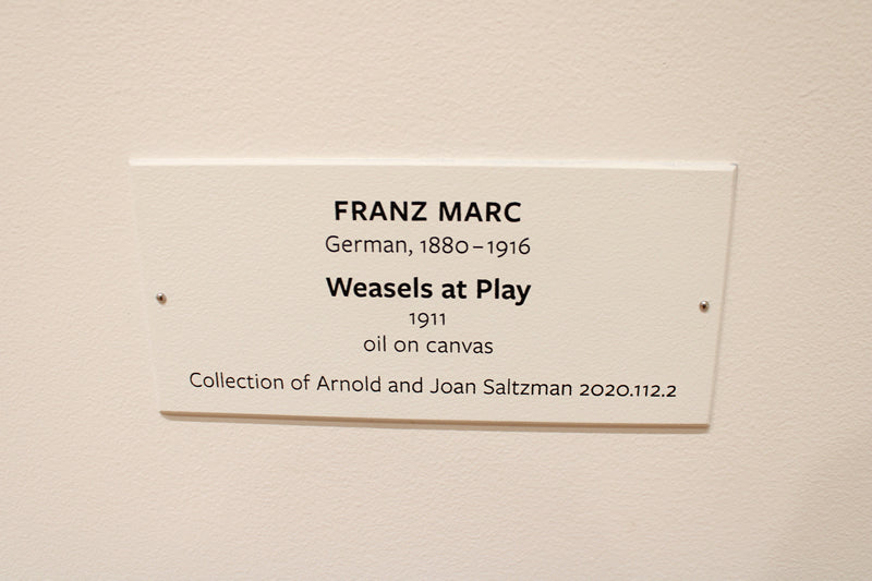 Weasels at Play