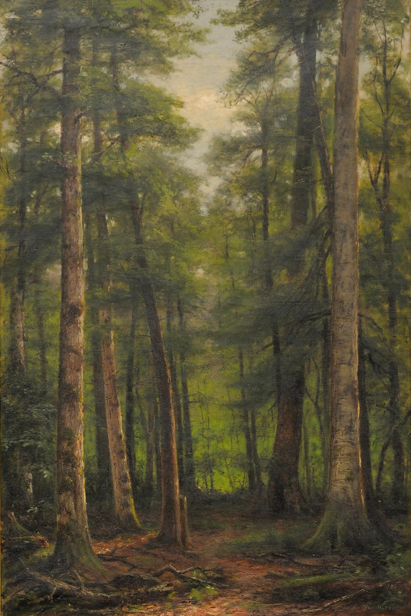 Landscape (Trees)