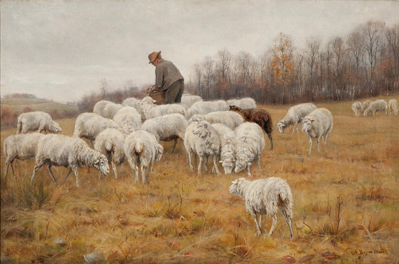 Landscape with Sheep