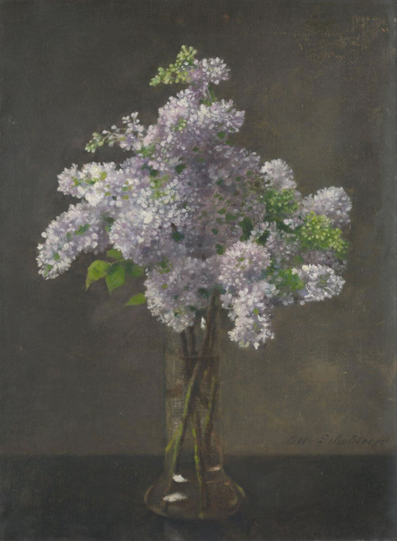 Lilac