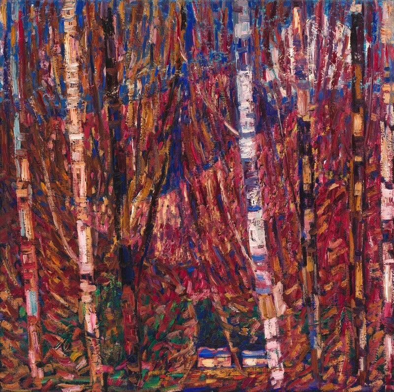 Maine Woods