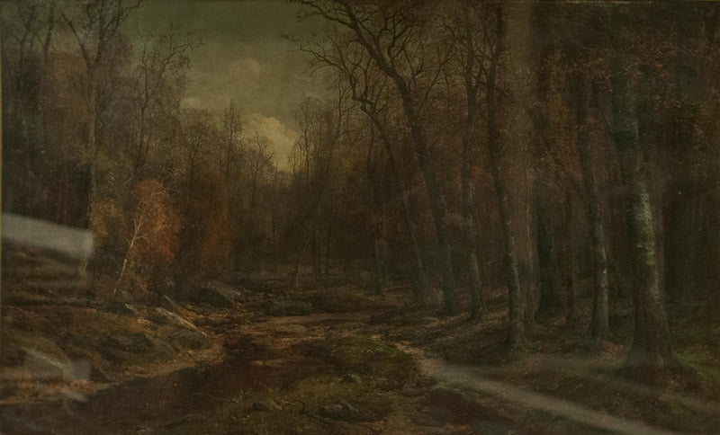 Mountain Brook in Autumn