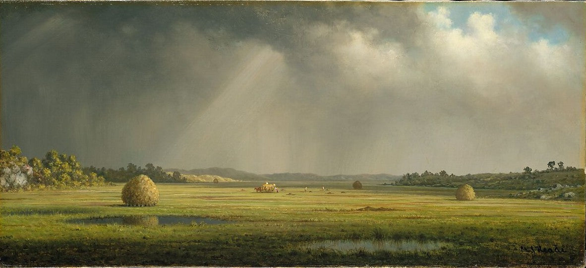 Newburyport Meadows
