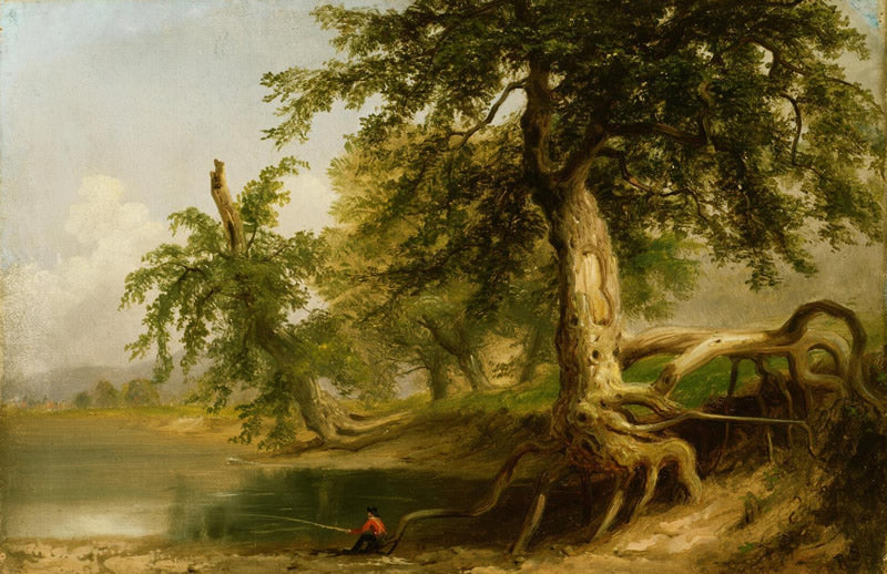 Old Trees on Ormsbys Farm