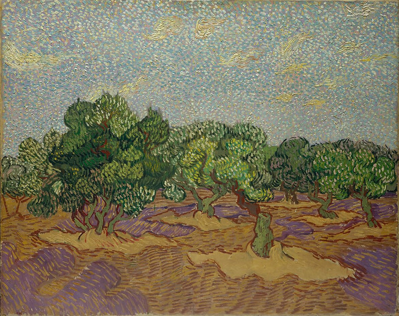 Olive Trees