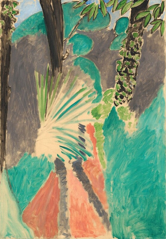 Palm Leaf, Tangier