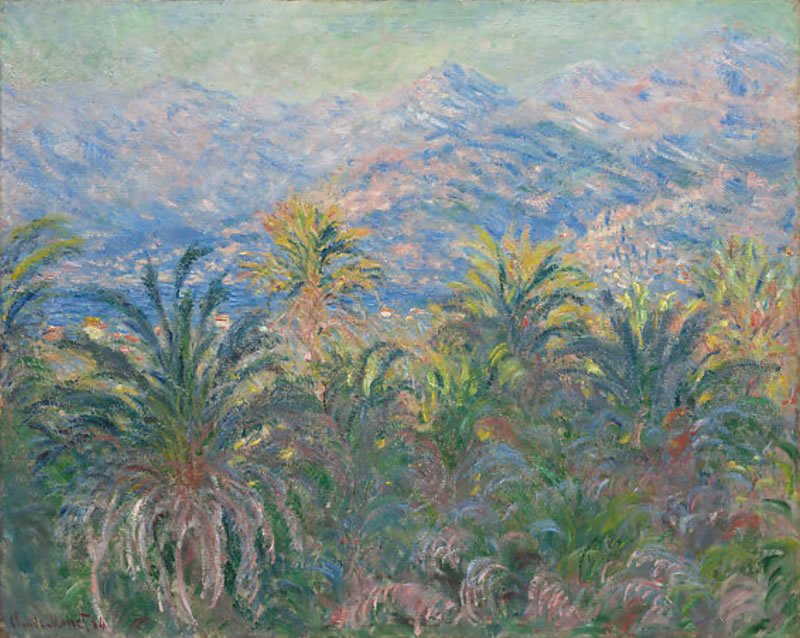 Palm Trees at Bordighera