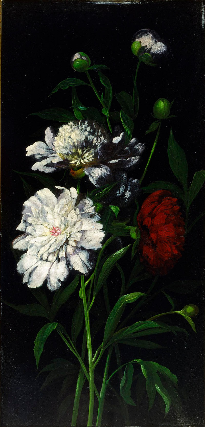 Peonies