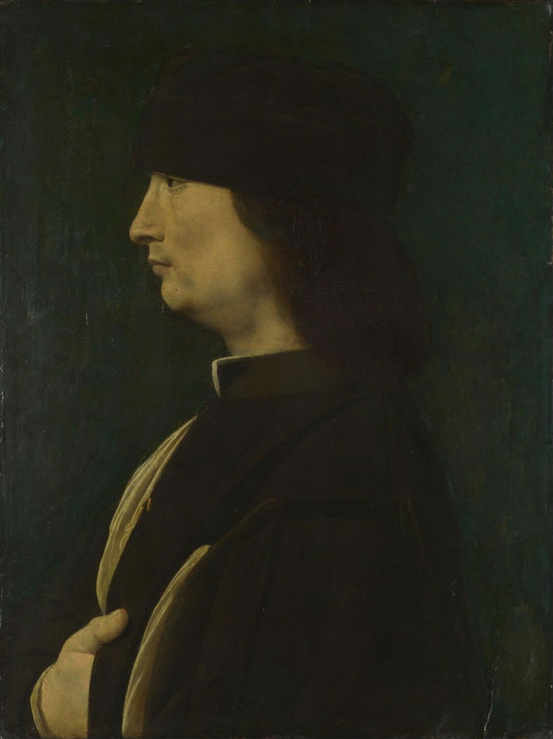 Portrait of a Man in Profile