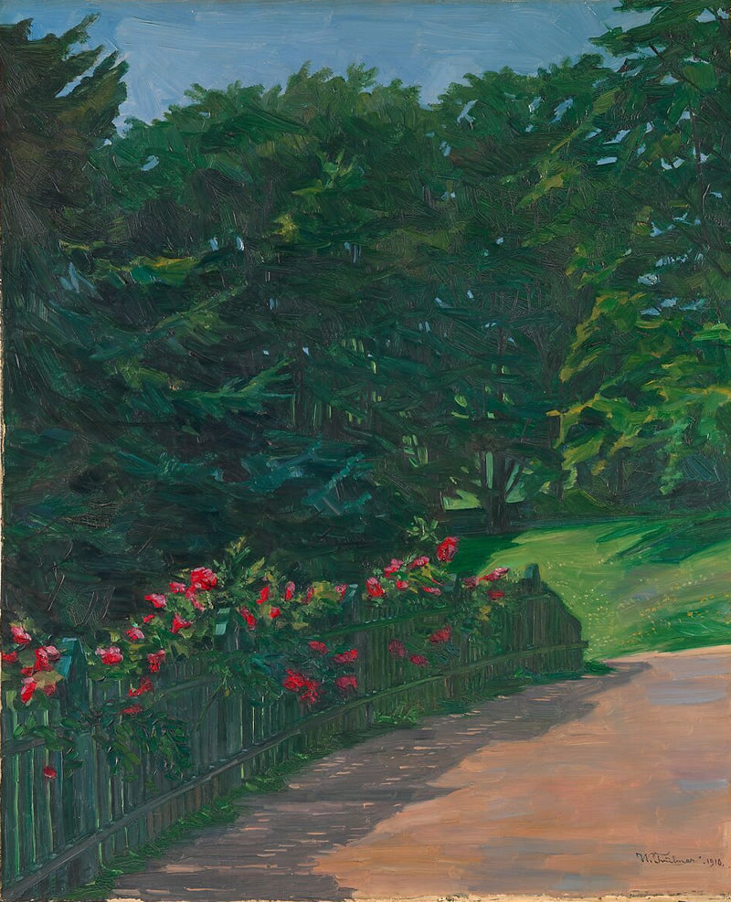 Rose Hedge