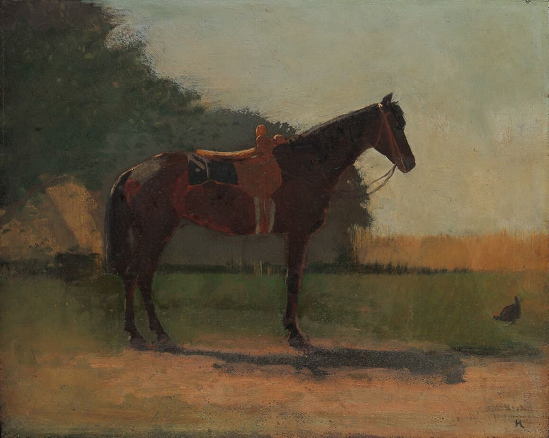 Saddle Horse in Farm Yard