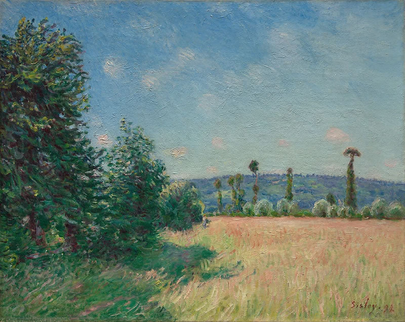 Sahurs Meadows in Morning Sun