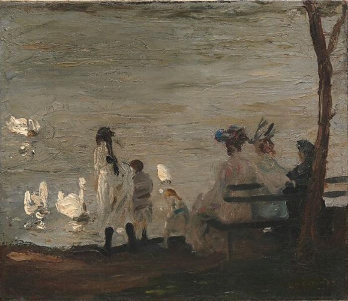 Swans in Central Park