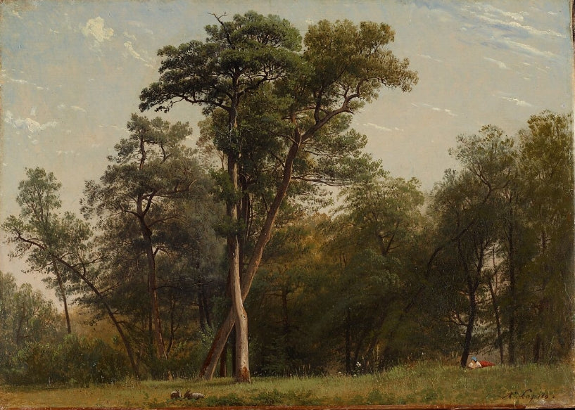 Clearing at the Edge of a Wood
