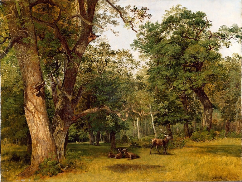 Deer at the Edge of a Wood
