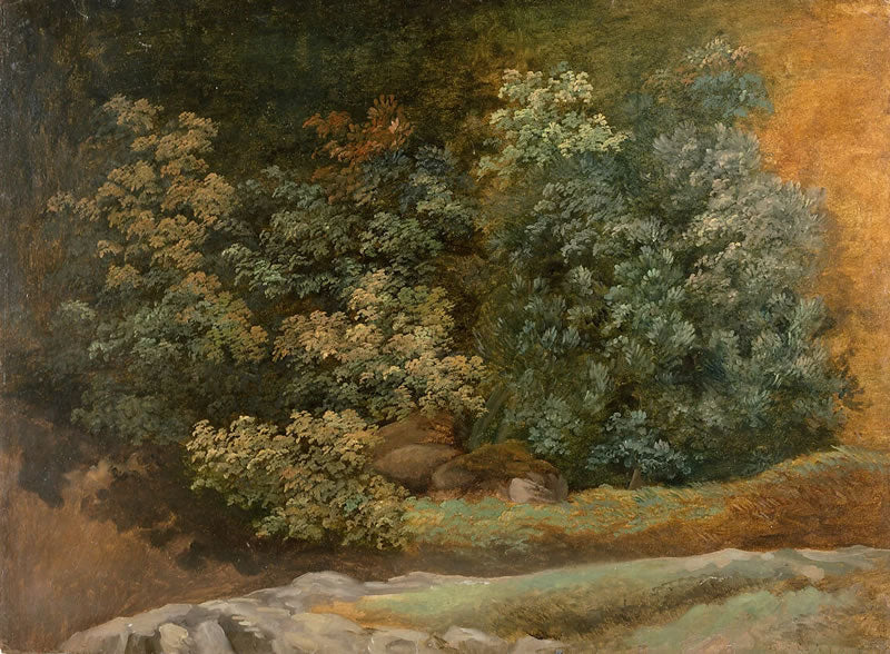 Study of Trees and Bushes