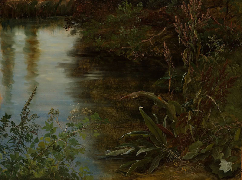 Study of Water and Plants