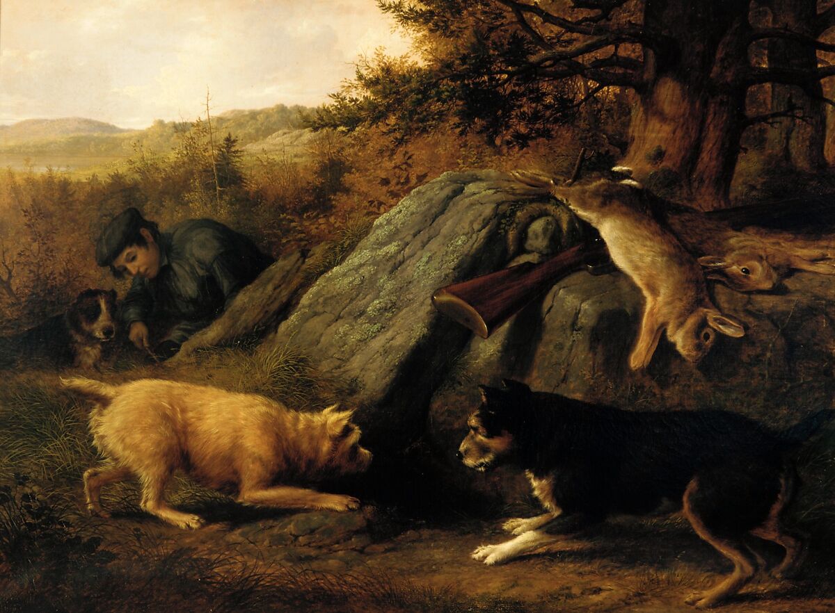 The Rabbit Hunters