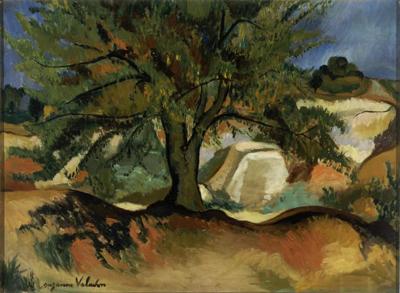 Tree at Montmagny Quarry