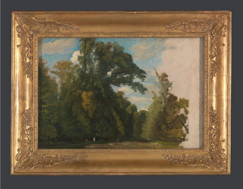 Trees in the Park at Saint-Cloud