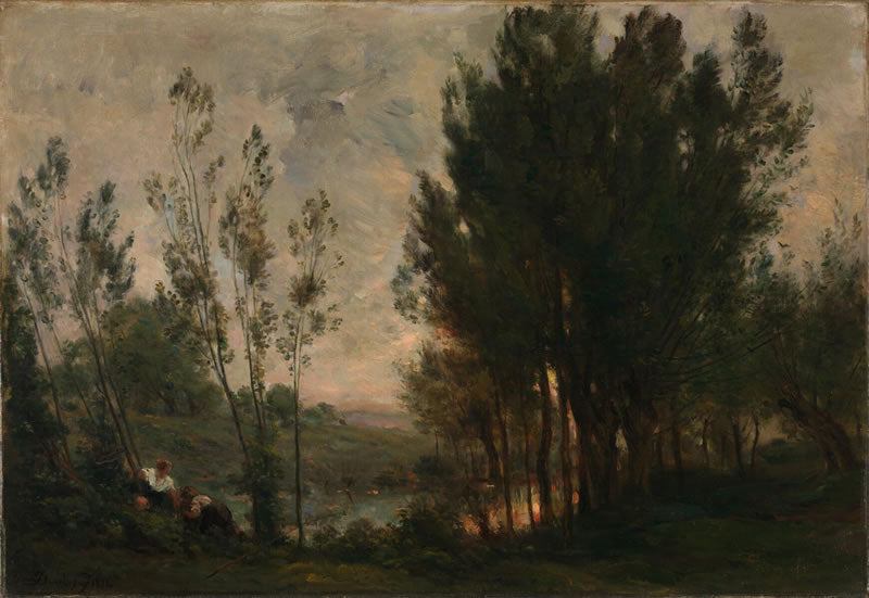 Willows