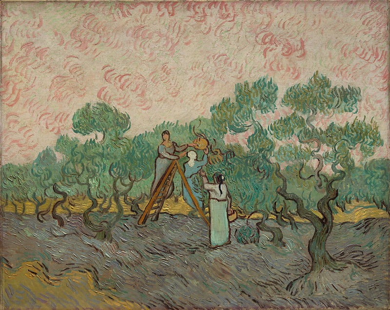 Women Picking Olives