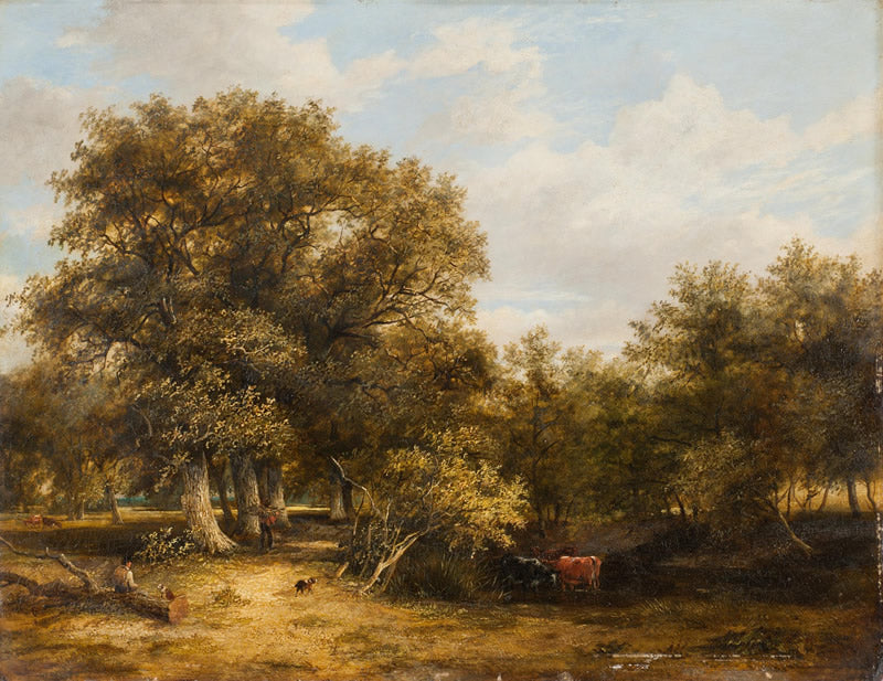 Woodland Glade