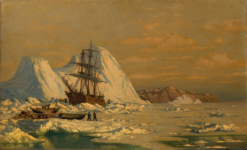 An Incident of Whaling