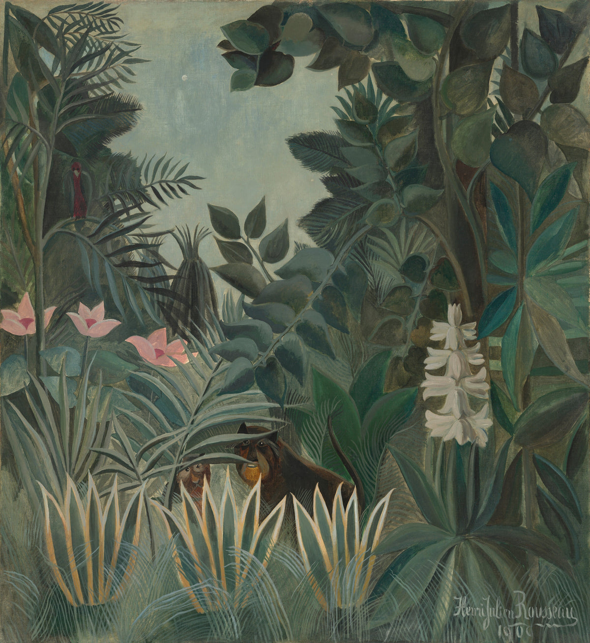 The Equatorial Jungle