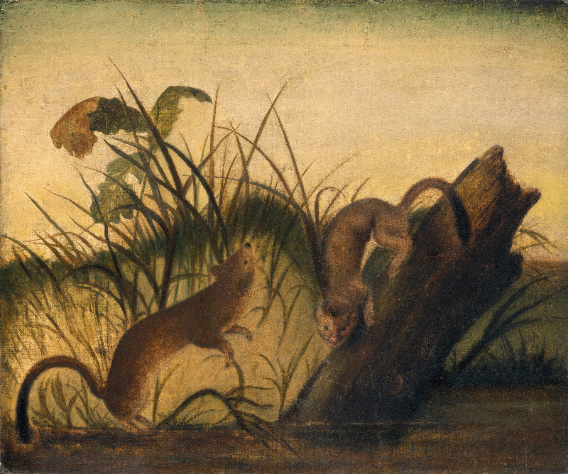 A classical oil painting depicting two brown rats in a marshy environment, with one rat climbing on a log and the other standing on the ground among tall grasses under a pale sky.