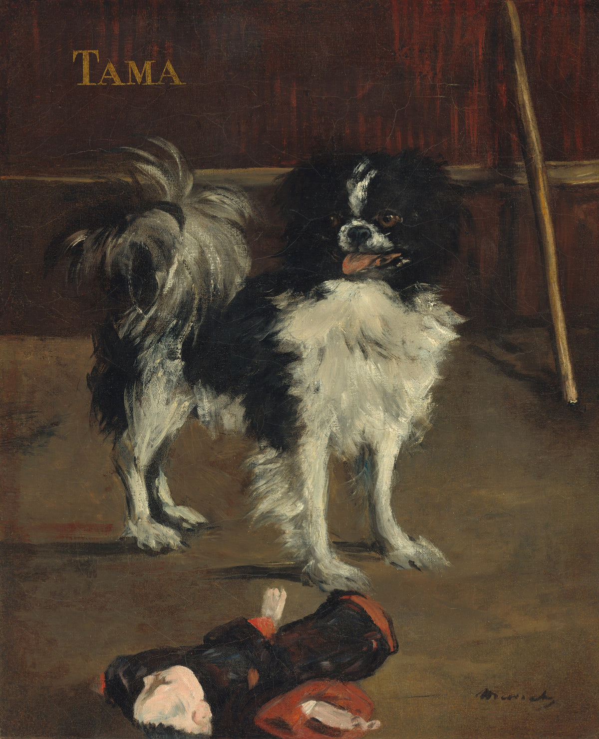 Tama, the Japanese Dog