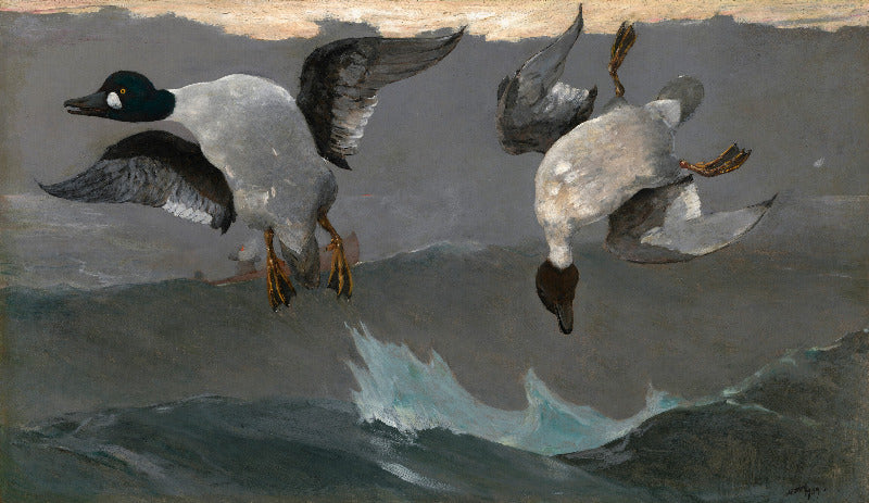 Two ducks in flight over water with a gray sky.