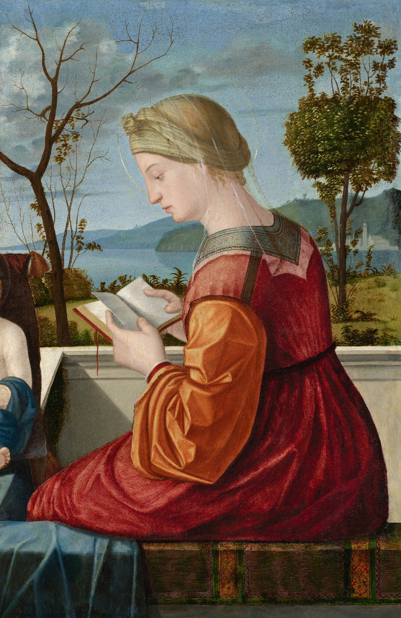 Woman in a red dress reading a book with a scenic background