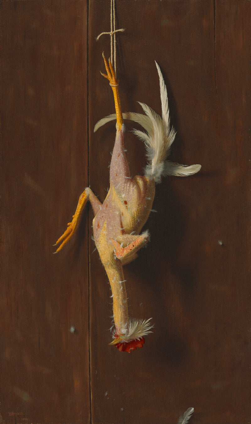 A taxidermy-style hanging bird specimen with pale pink skin, yellow-orange legs and beak, white feathers, and a small red detail at the tail, suspended against a dark brown wooden background.
