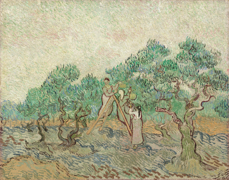 Painting of two people working with olive trees by Vincent van Gogh