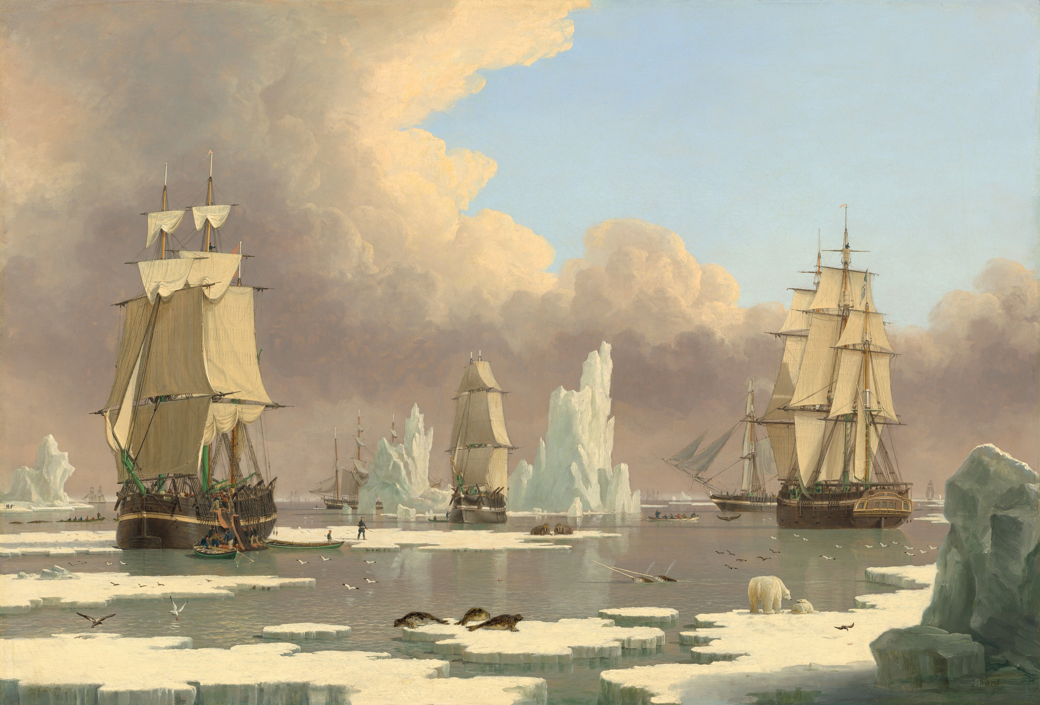 The Northern Whale Fishery: The "Swan" and "Isabella"