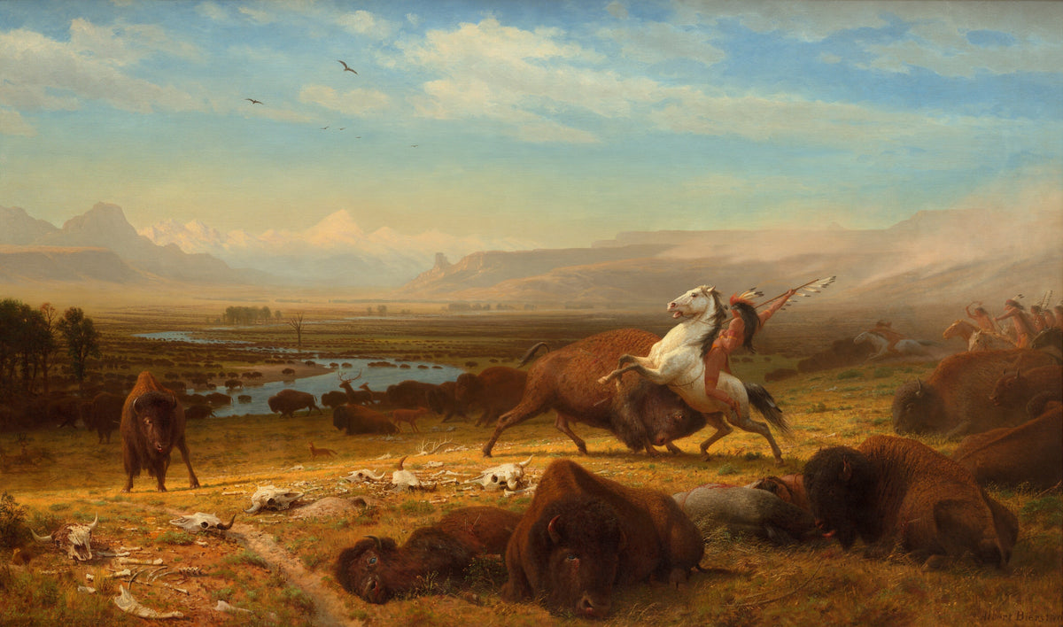 The Last of the Buffalo