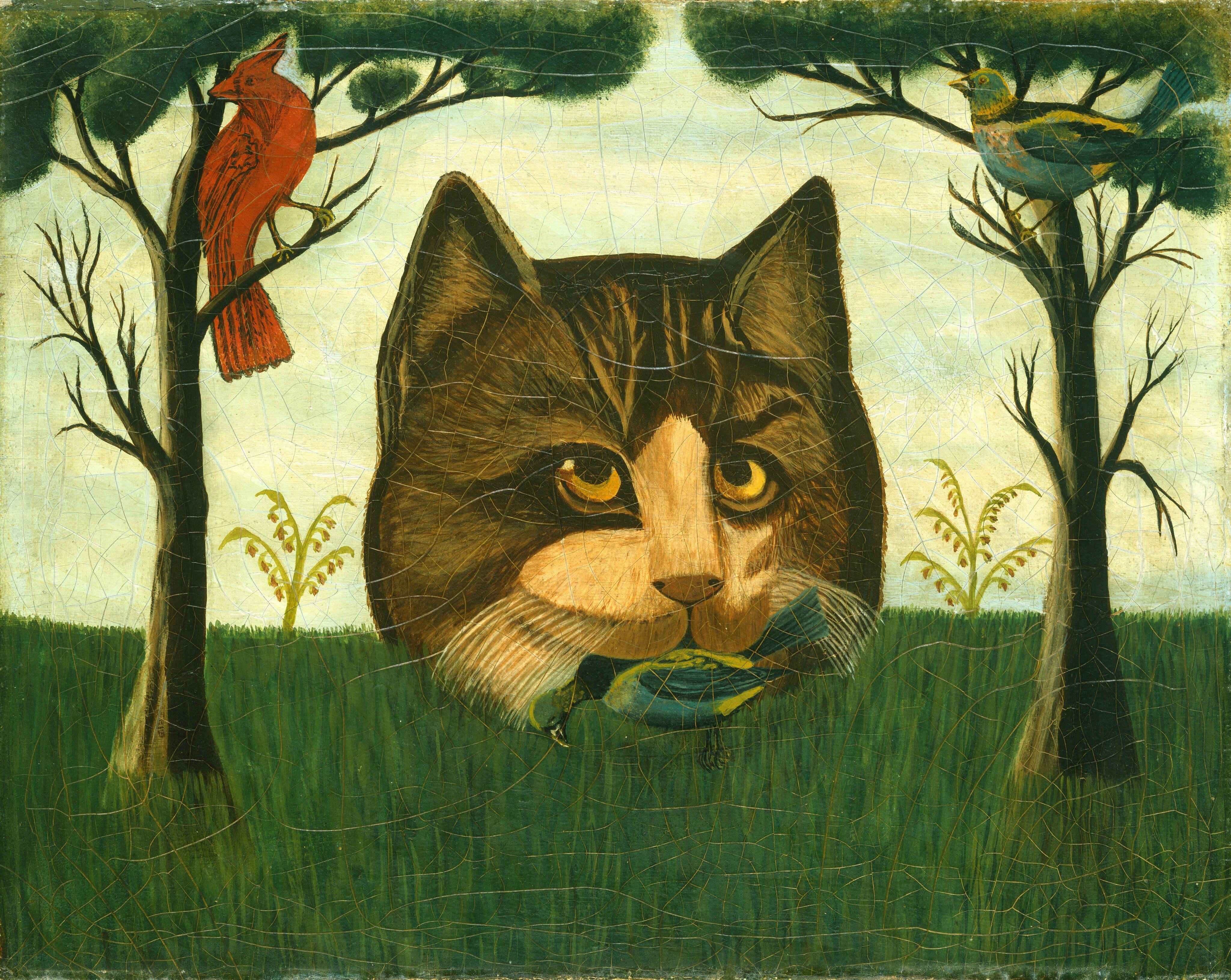 The Cat