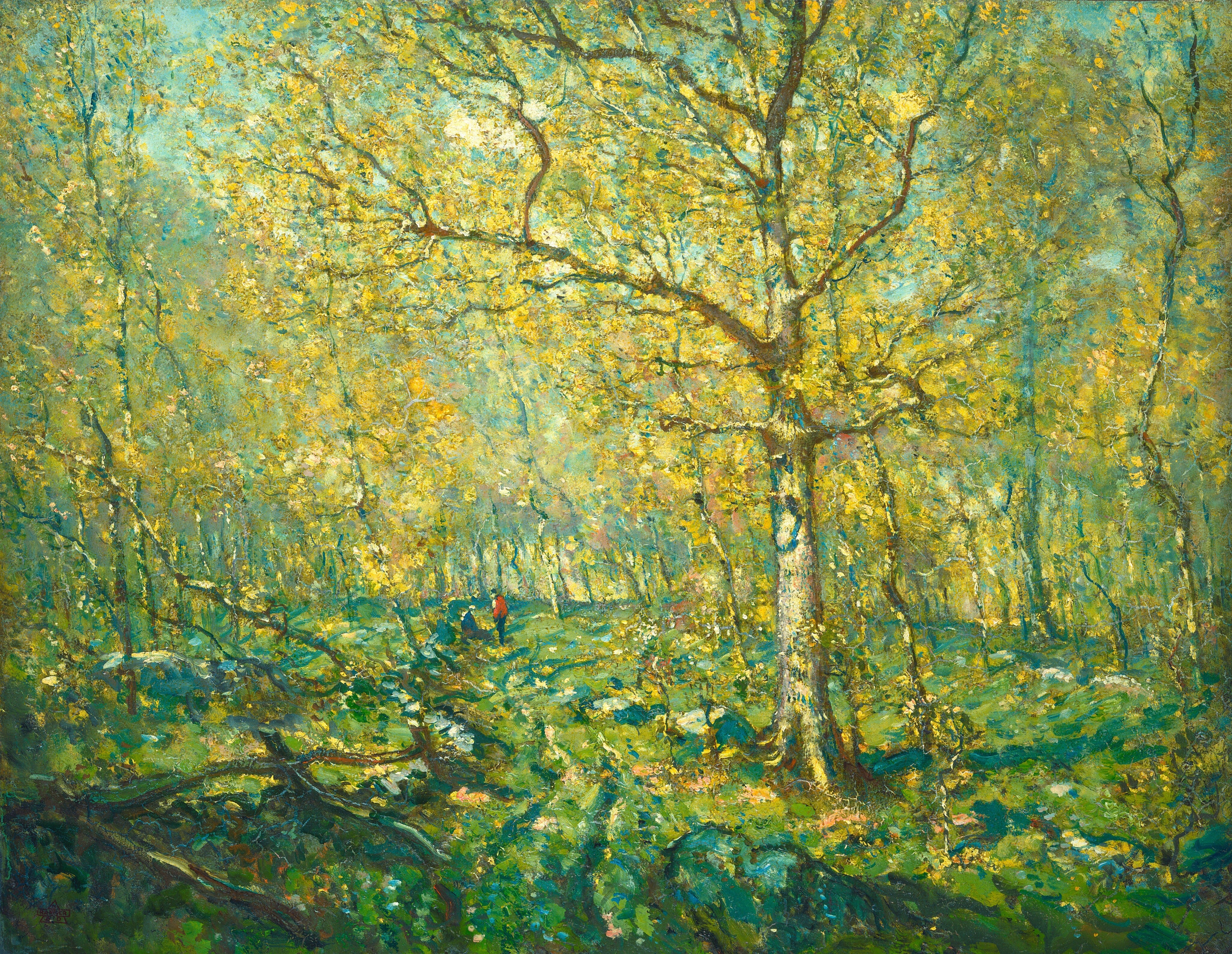 Spring Woods