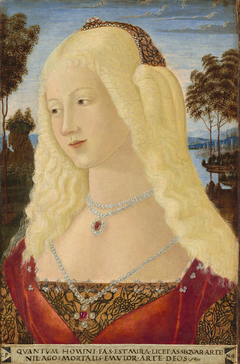 Portrait of a Lady